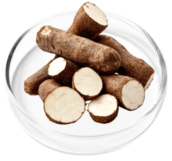 DigestiStart Ingredient1