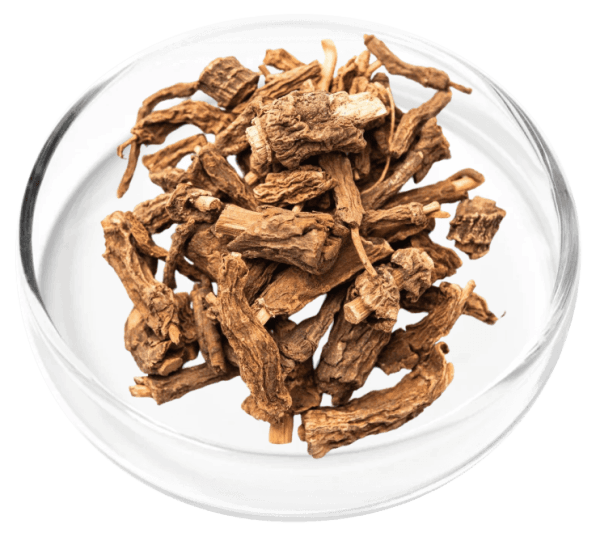 DigestiStart Ingredient2