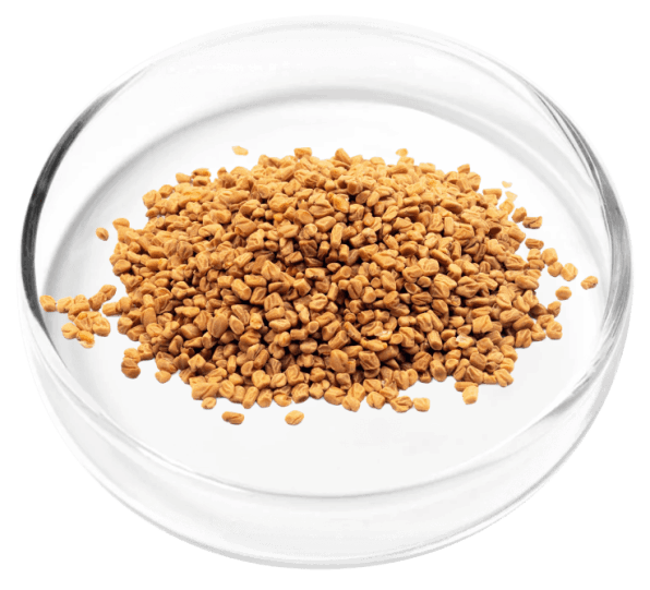 DigestiStart Ingredient3