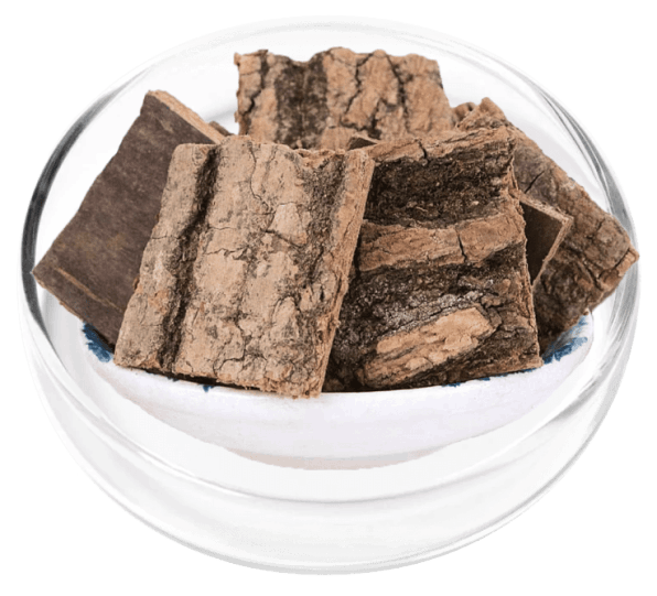 DigestiStart Ingredient4