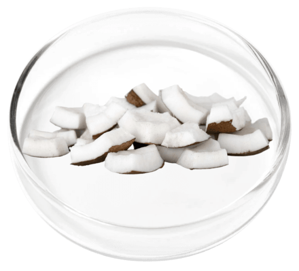 DigestiStart Ingredient5