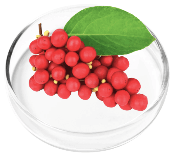 DigestiStart Ingredient9